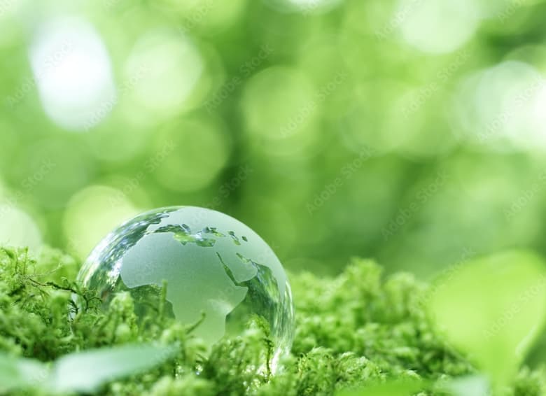 木製パレットを使用する環境への配慮