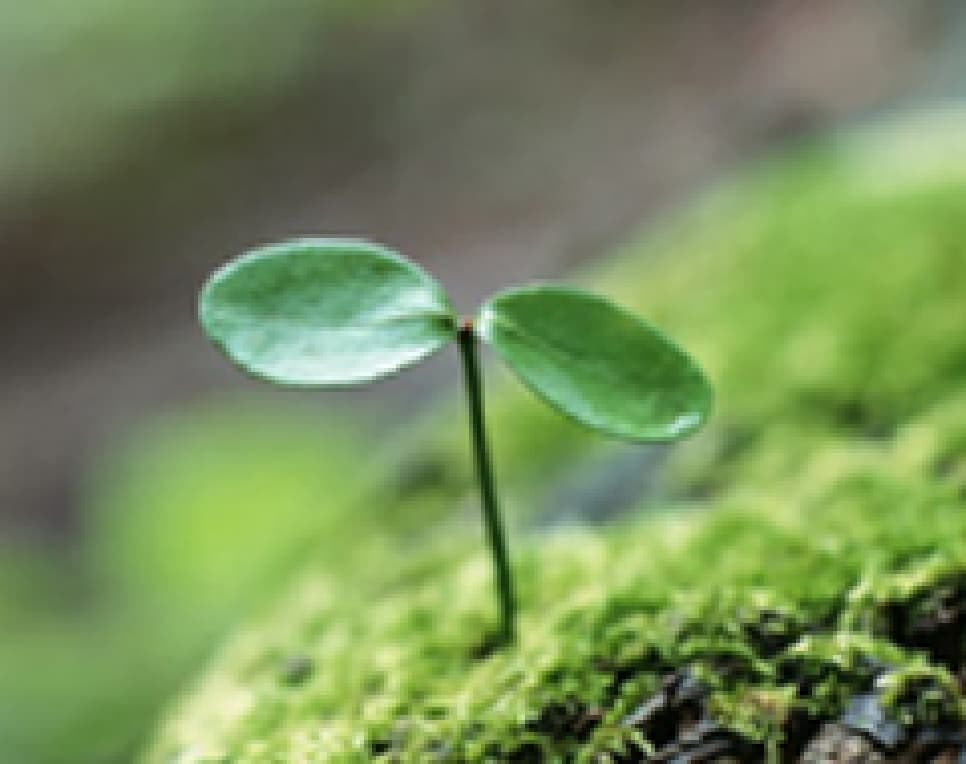 答えは、「NO」です。