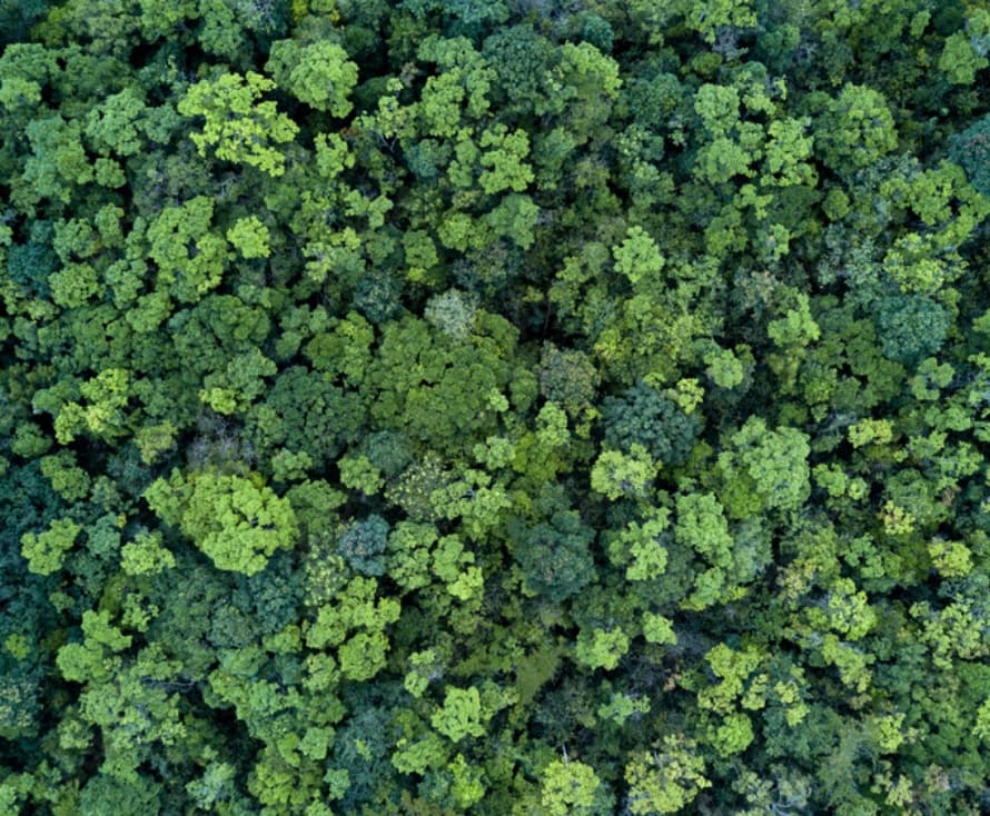 地球温暖化防止と木材利用