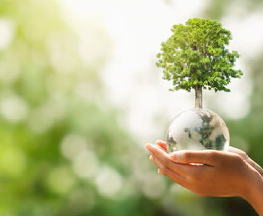 木製パレットは環境破壊？